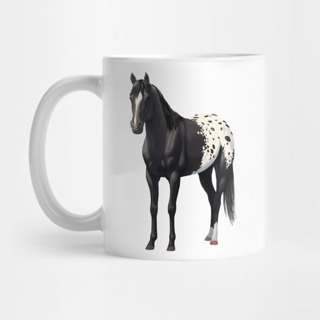 Black Quarter Horse Stallion Appaloosa by csforest